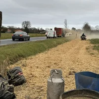 Plantation de haies champêtres à La Ferme du Ramier par les apprentis du Lycée Capou et les bénévoles de l'association Campagnes Vivantes 82