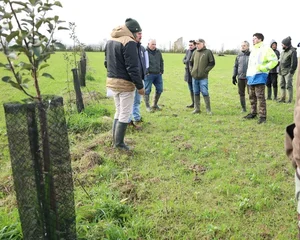 La projection du documentaire "Bocage, nos haies communes" par l'association Campagnes Vivantes 82