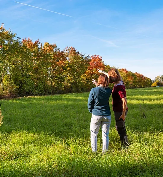 Conseiller et accompagner les plantations