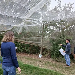 La gestion durable des haies à travers des formations et mise en relation d'acteurs locaux en Tarn et Garonne