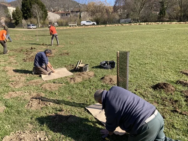 Le programme Commune'Haie : des plantations pour la valorisation du patrimoine végétal en Tarn et Garonne